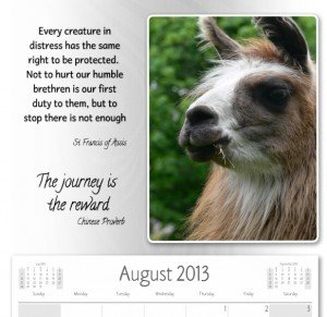 lama picture calendar, free download