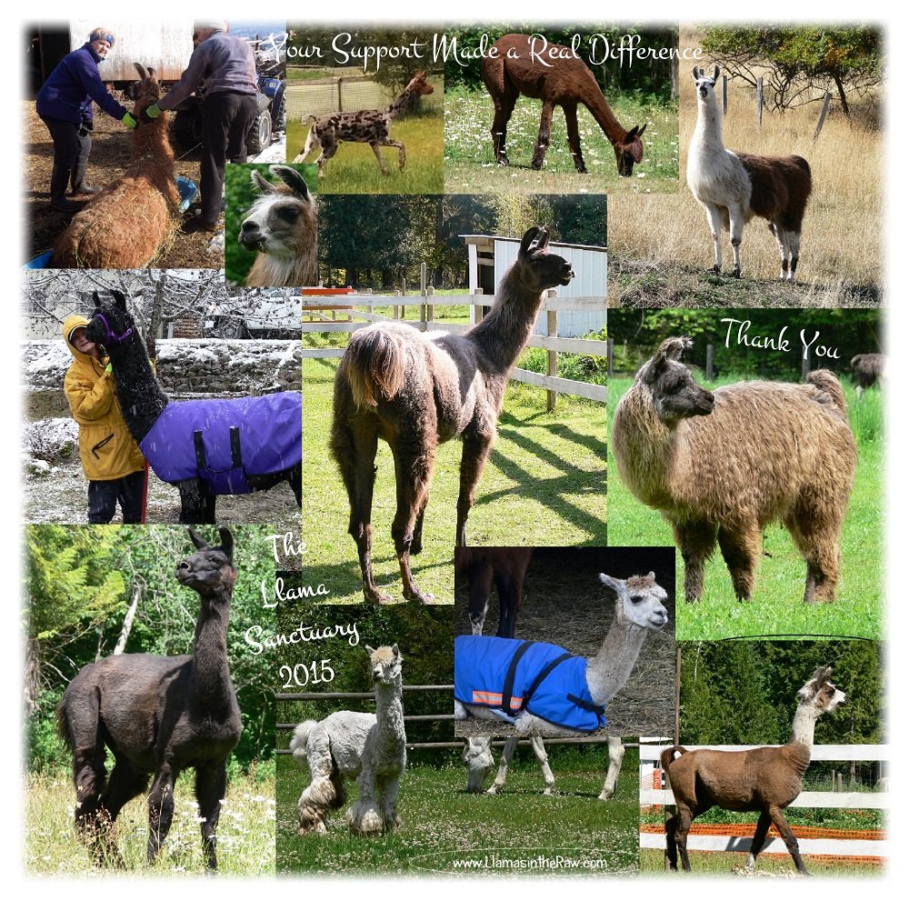 llama sanctuary achieved in 2015