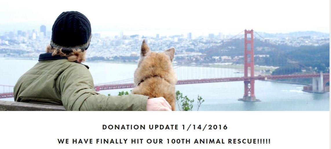 dogpatch donating to animal rescue