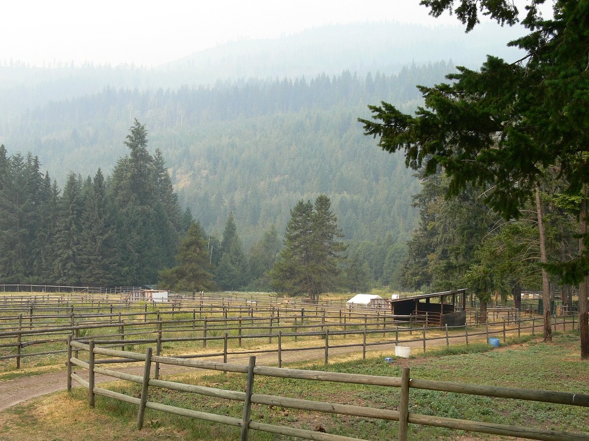 forest fires in British Columbia, emergency evacuation of livestock