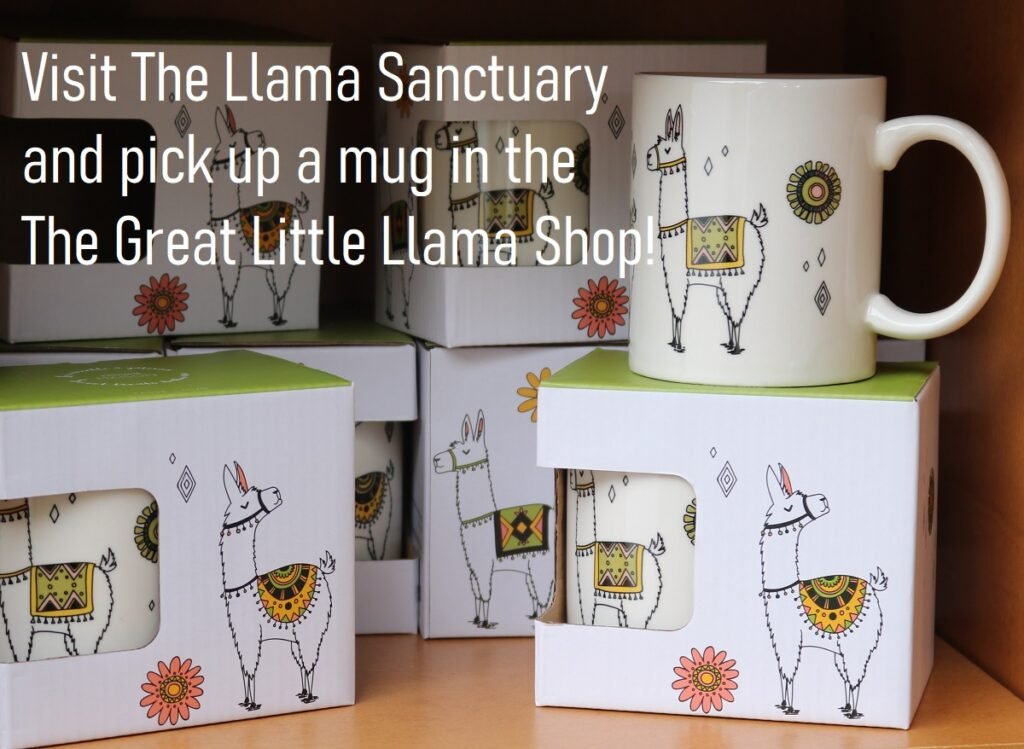 pick up a mug in The Great Little Llama Shop