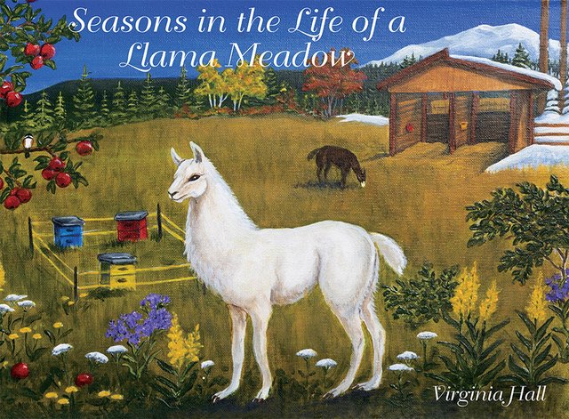 Illustrated childrens book Seasons in the Life of a Llama Meadow by Virginia Hall