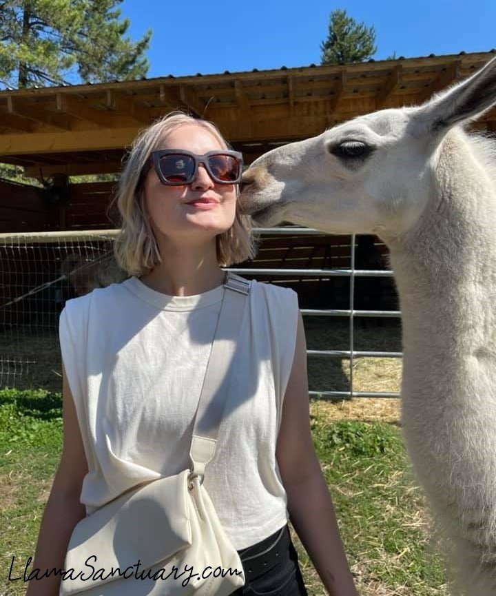 A special llama kiss