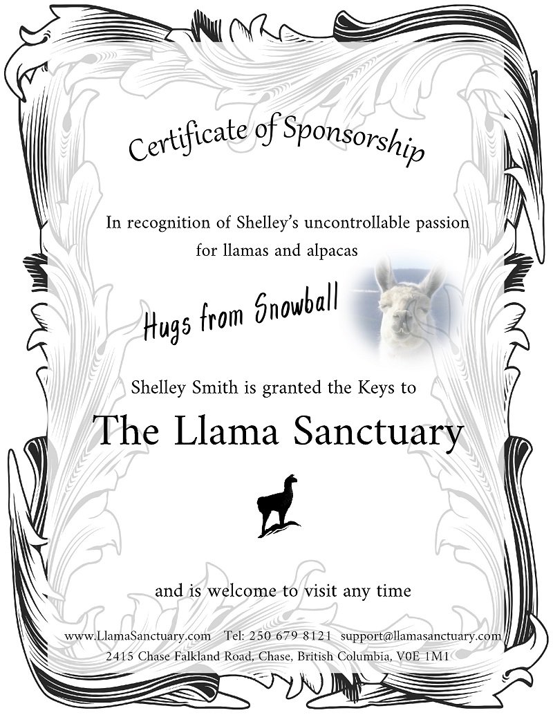 sponsor a llama or sponsor an alpaca
