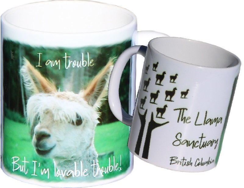llama sanctuary ceramic coffee mug