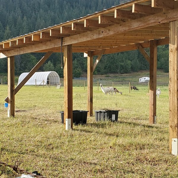 new shelter being built at The Llama Sanctuary