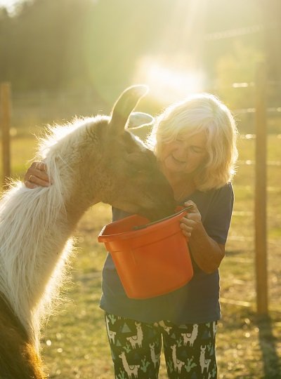 holding a bucket of food for Brownie the llama