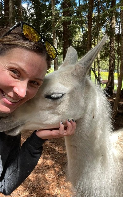 some of the llamas love cuddles and lots of attention