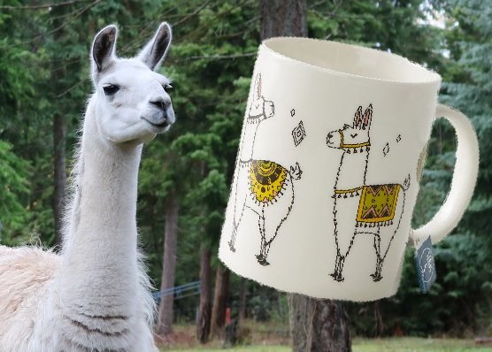 Buy a llama mug to help feed a llama