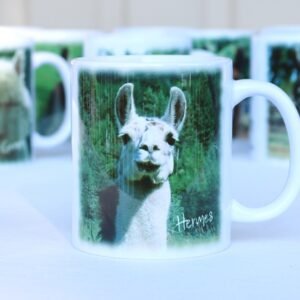 llama sanctuary ceramic mug with llama images