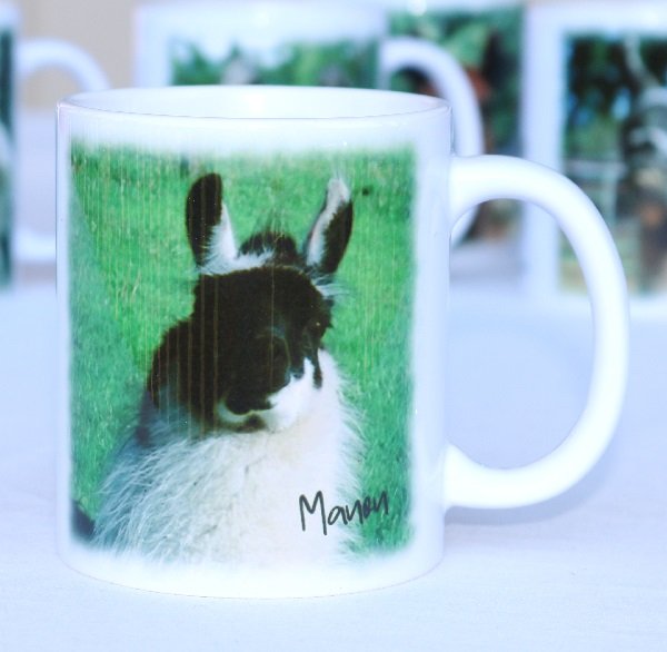 Manon the llama on a llama sanctuary mug
