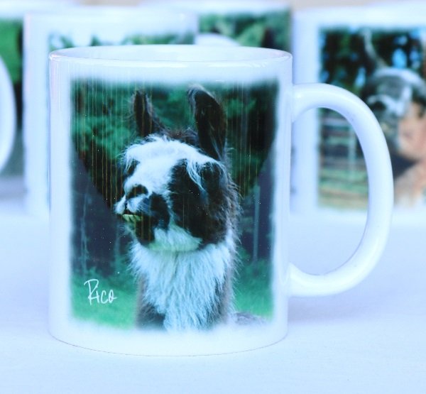 Rico the llama ona llama sanctuary mug