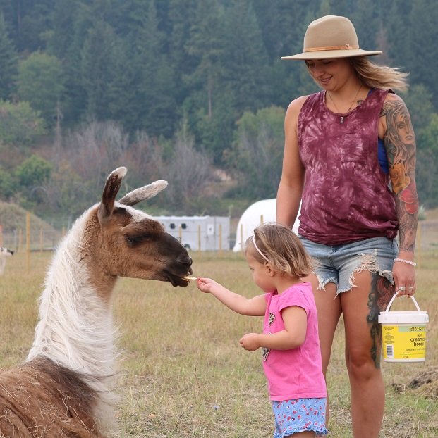 Guided Tours are part of the daily routine at The Llama Sanctuary