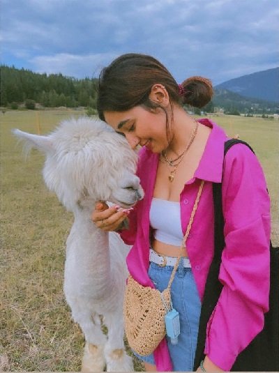 visitor with Gemmy the blind alpaca at The Llama Sanctuary in British Columbia