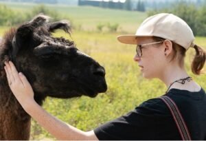 such a gentle moment with a llama