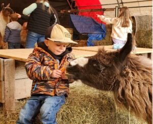 Young boy sits with a llama