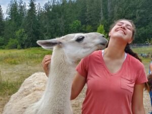 a kiss from a llama