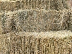 bales of hay