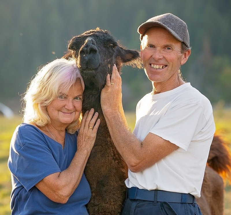 Managers of The Llama Sanctuary David & Lynne