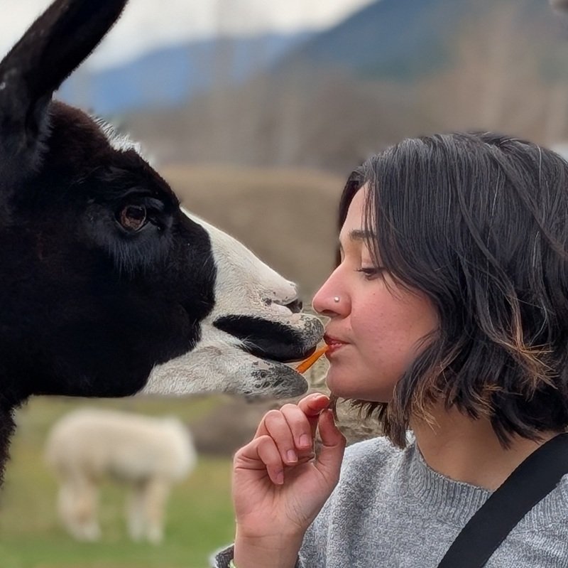 Your visit to The Llama Sanctuary will be the highlight of your visit to the Shuswap