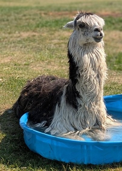 Eddie Today