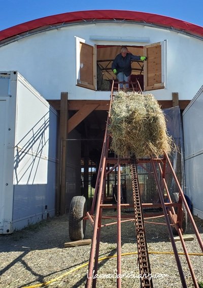 Filling The Hayloft