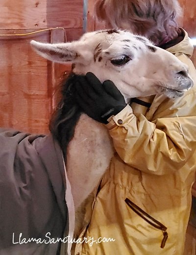 Hermes Needs a Hug