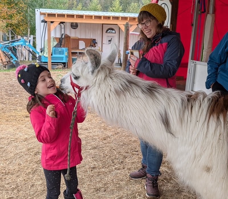 PeeGee loves the younger visitors to The Llama Sanctuary