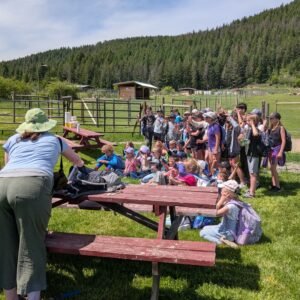 School field trips to The Llama Sanctuary